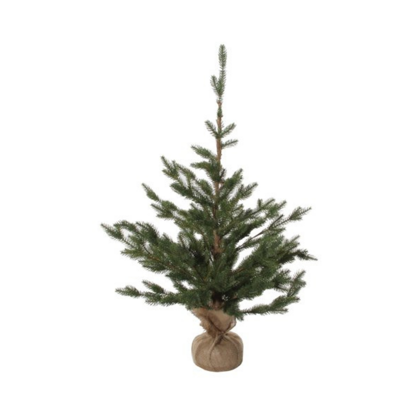 SAPIN - Vert