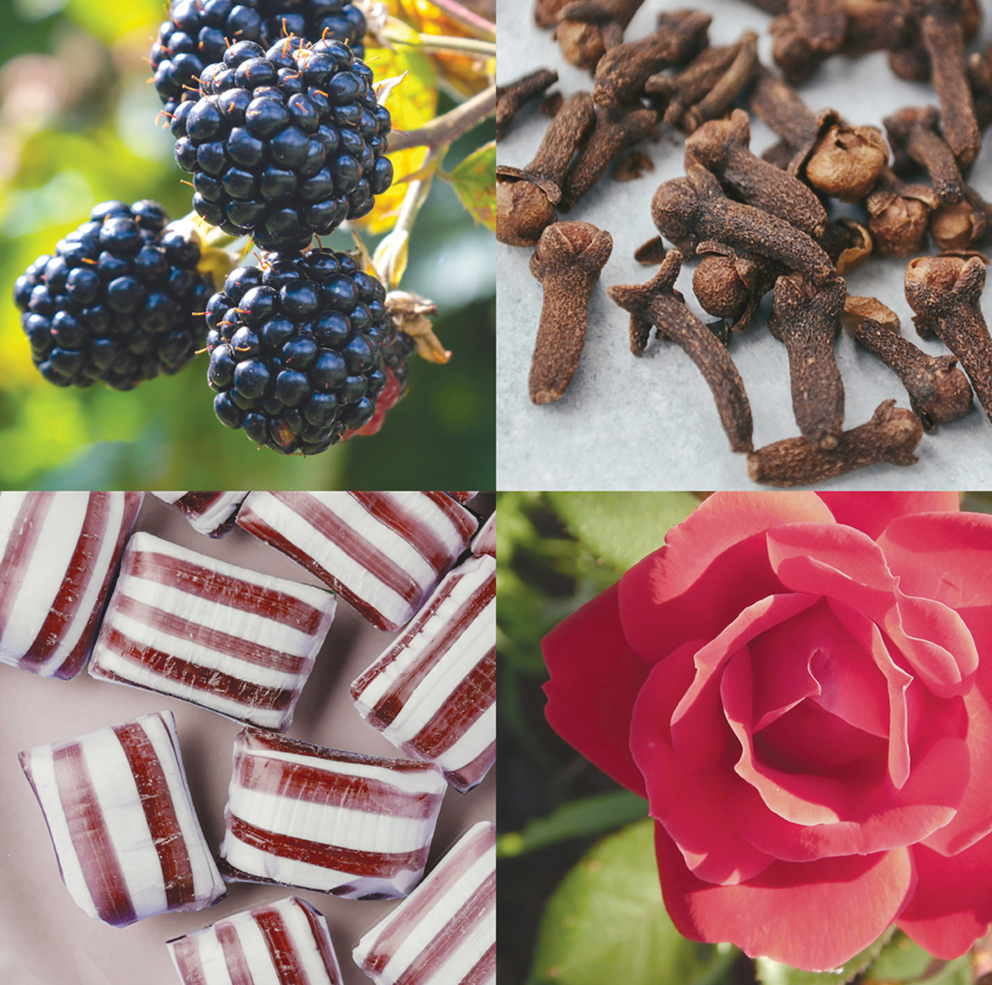 bougie_kyss_sina_and_co_skandinavisk