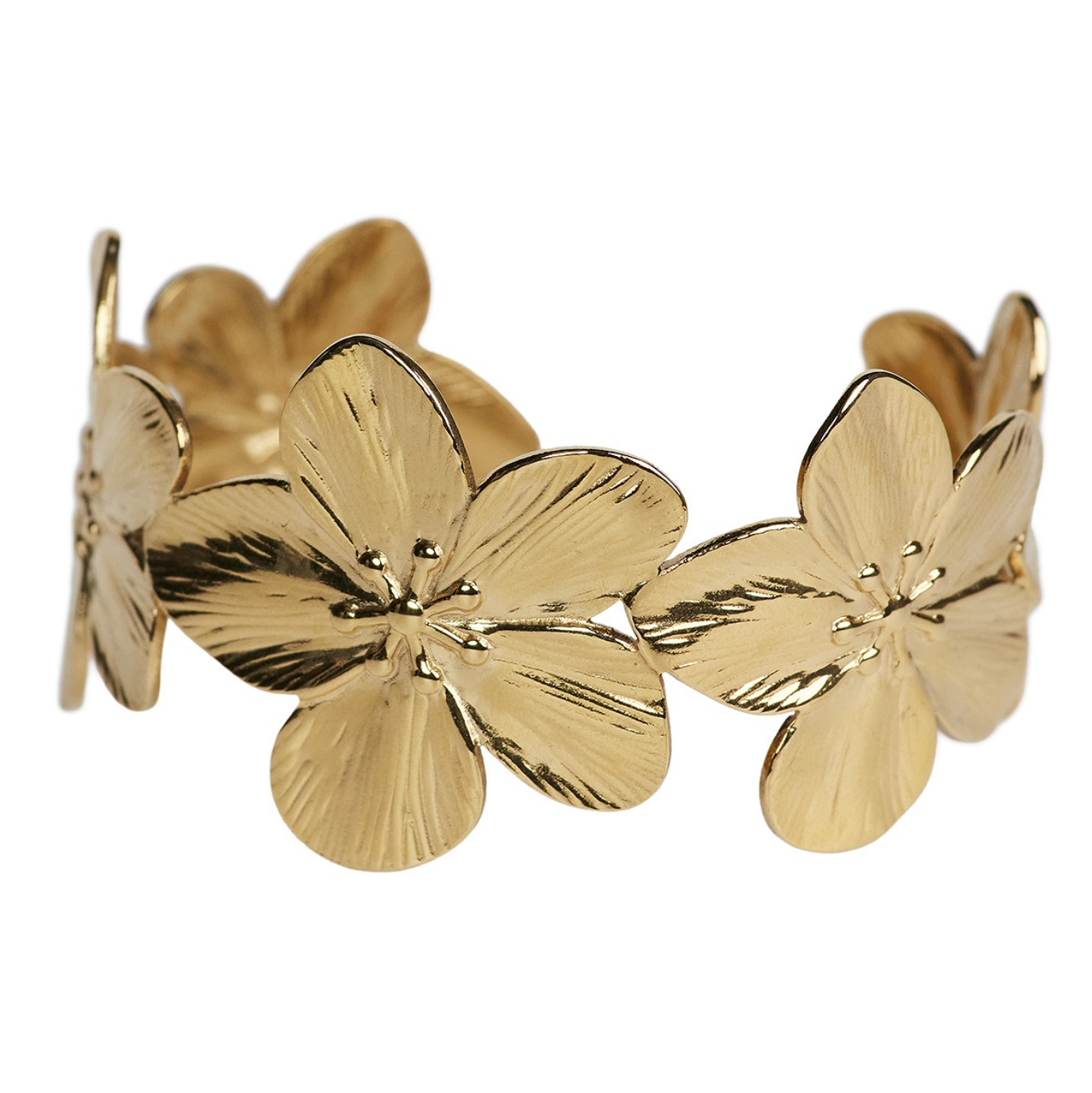 jonc_sina_and_co_linda_moshi_or